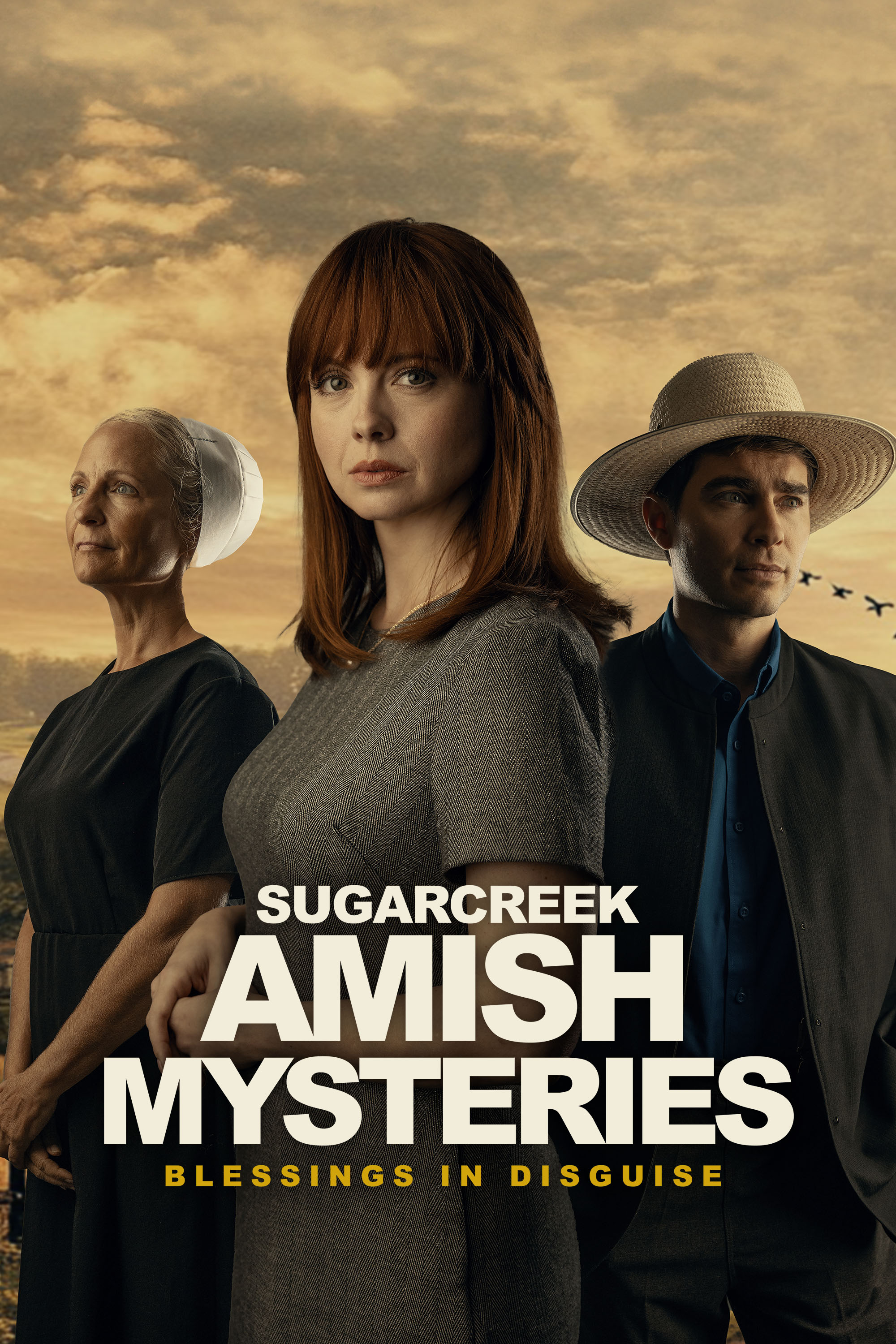 Sugarcreek Amish Mysteries 