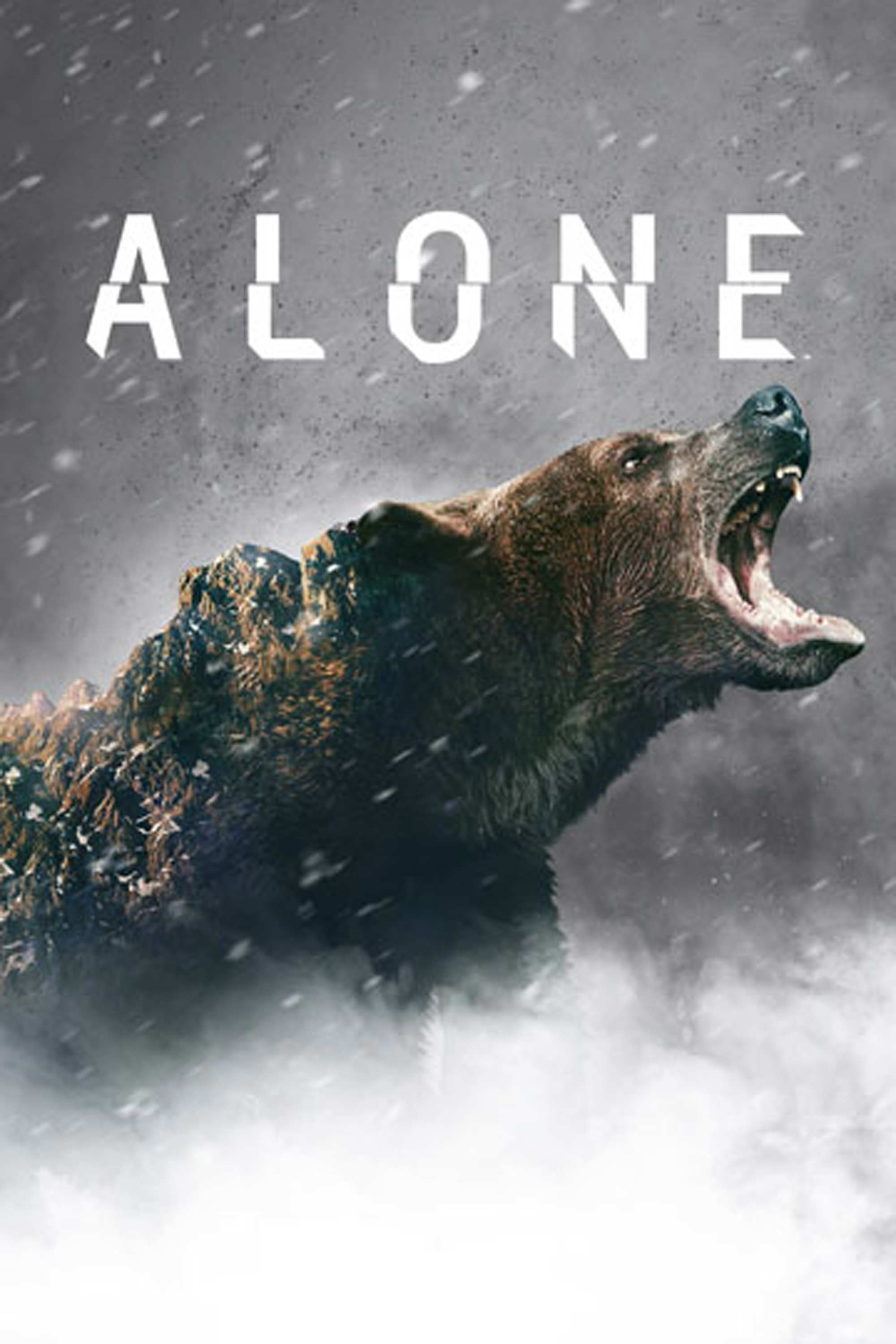Alone: roaring grizzly bear whose back forms a rocky mountain peak in misty snow.