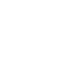 Newsmax Logo