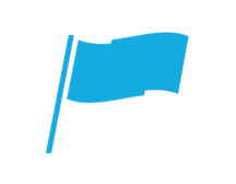 Flag icon