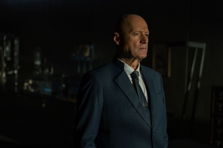 Adrian Edmondson as Atom Enis