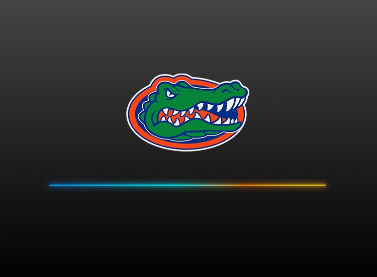 A logo for Texas with Sling branding