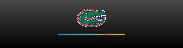 A logo for Texas with Sling branding