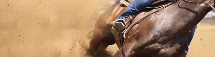 An image of a horse making a sharp turn and kicking up dust.